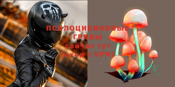спайс Алексин