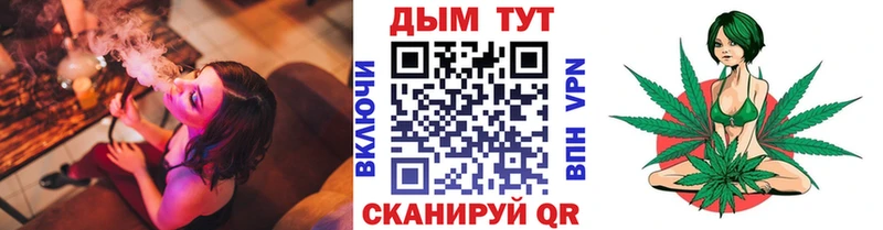Шишки марихуана семена  Правдинск 